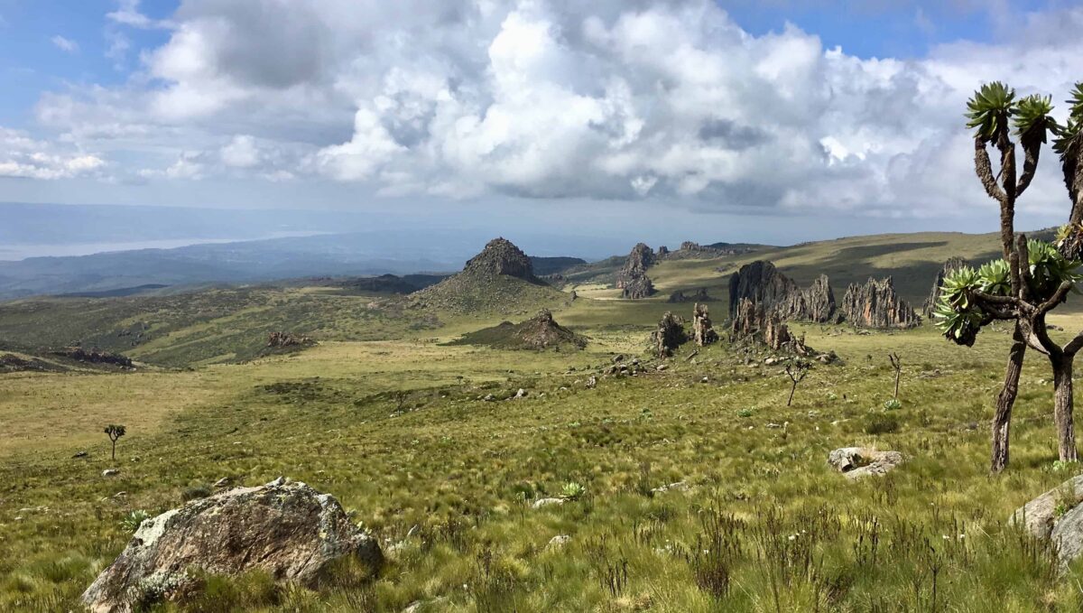 Beautiful Aberdare National Park