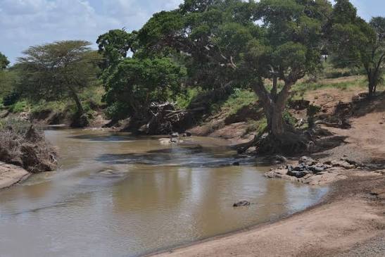 Ewaso Nyiro River Alsocalled Brown river of Central Kenya