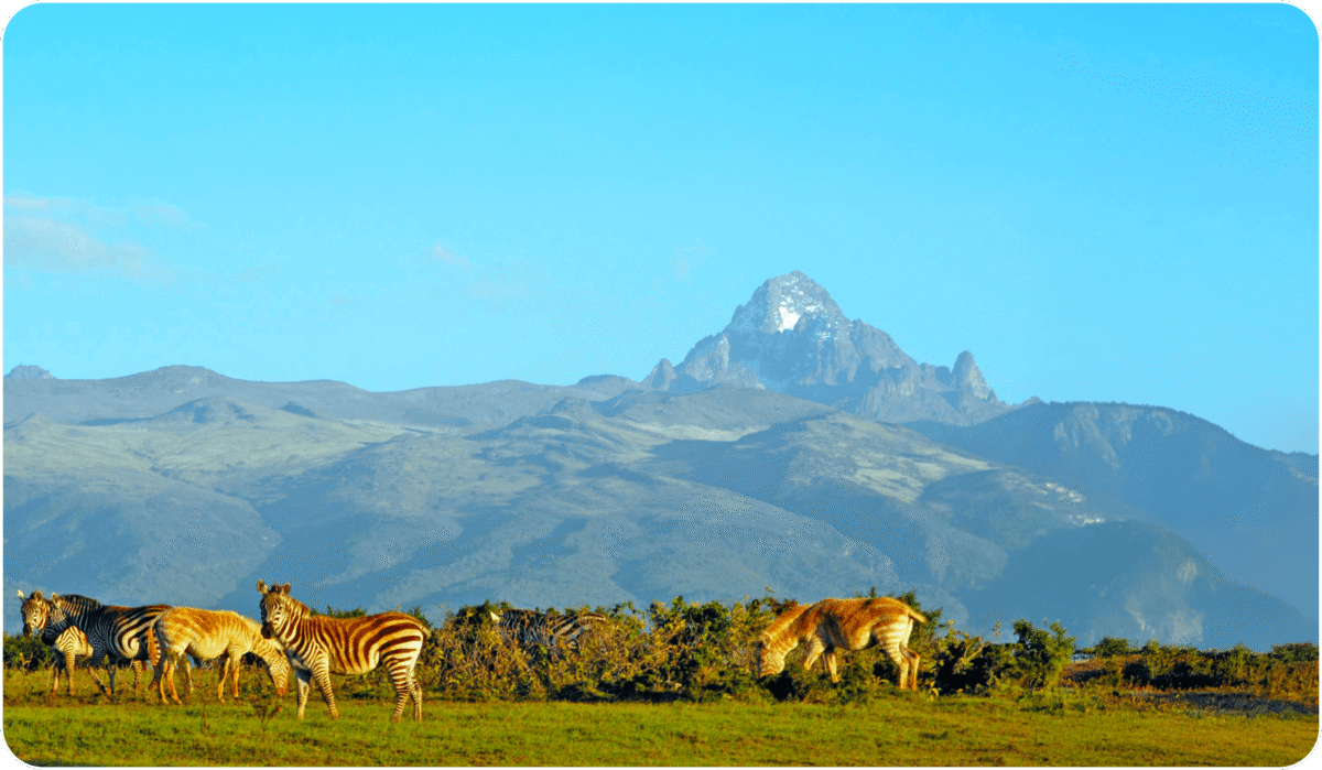 Mt Kenya national park Safari drive