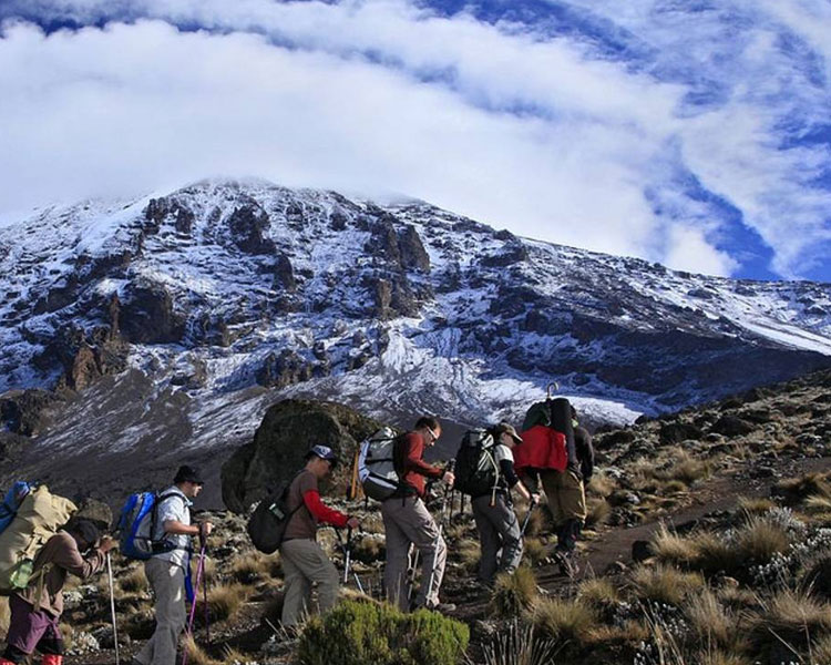 Beautiful views of Mount Kilimanjaro while on the Northern Circuit Route - East Africa