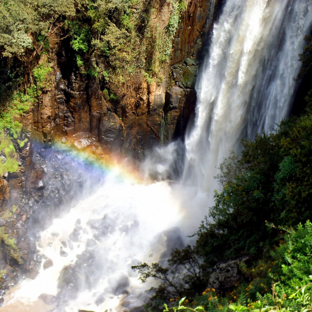 Beautiful Thomson Falls of central Kenya - East Africa
