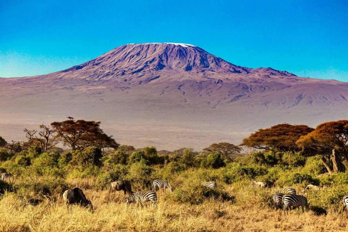 East Africa Jewellery - Kilimanjaro National Park Tanzania 