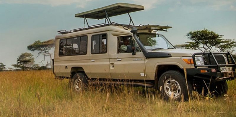 Self drive Safaris to Kilanjaro National Park in East Africa