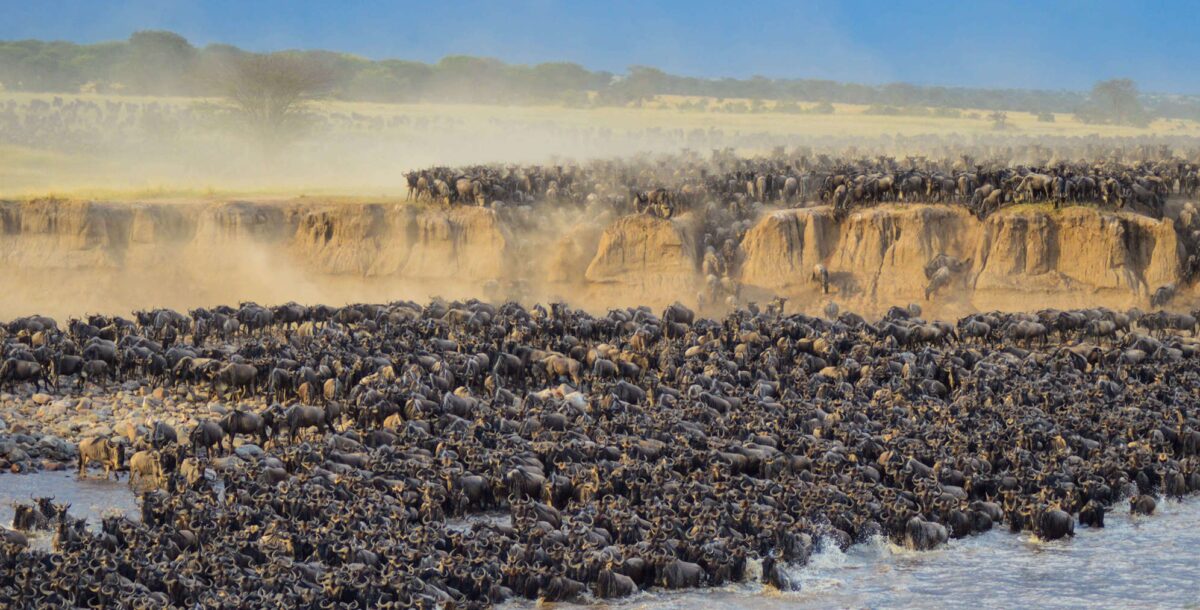 Wildebeest Migration Tanzania's spectacular natural wonder