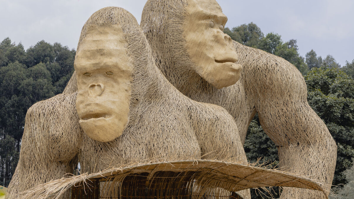 Kwita Izina concert in Rwanda