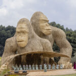 Kwita Izina concert in Rwanda