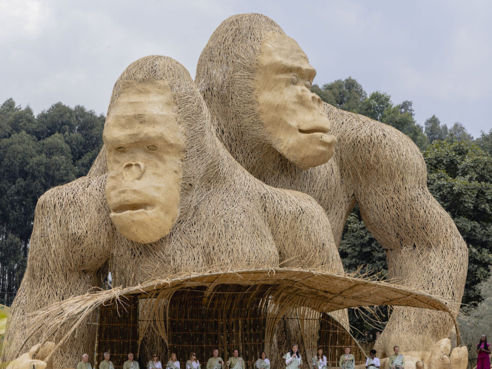 Kwita Izina concert in Rwanda