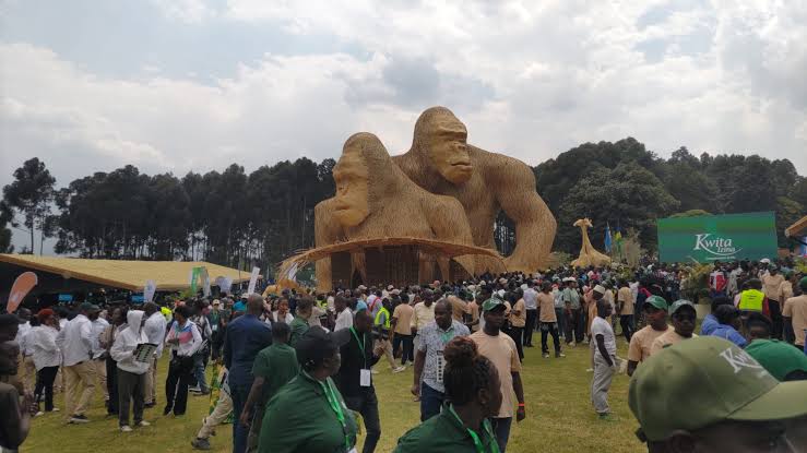 Kwita Izina concert in rwanda at the foot hills if volcanoes National park