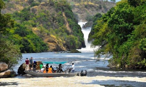 Enjoy a scenic journey along the Nile, spotting hippos, crocodiles, elephants and spectacular birdlife as you cruise towards the mighty Murchison Falls